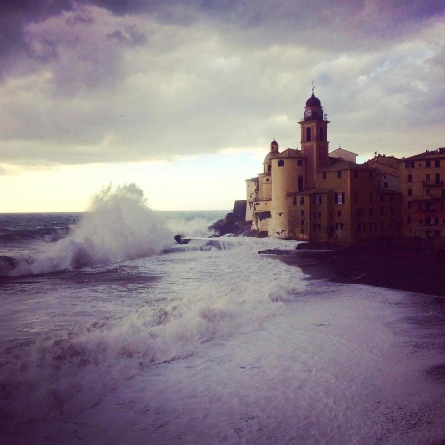La Casa Della Fiore Camogli
