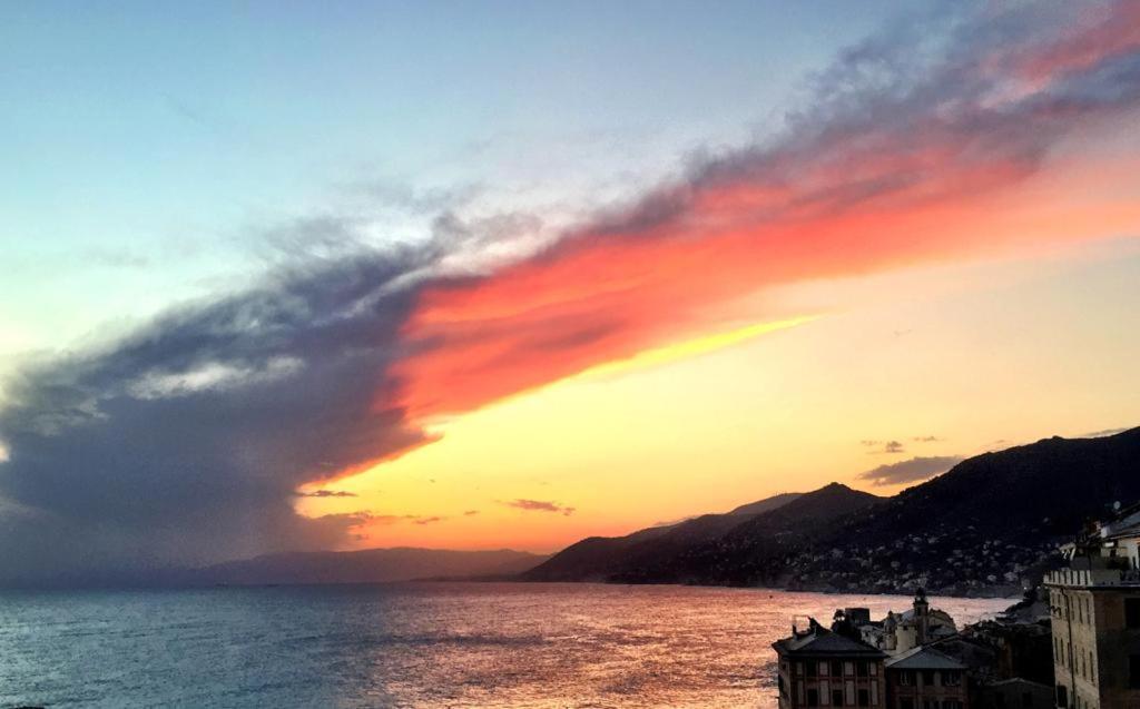 La Casa Della Fiore Camogli